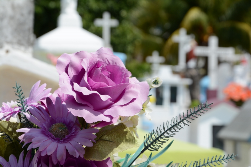 funeraire-FIGANIERES-min_cementerio-948048